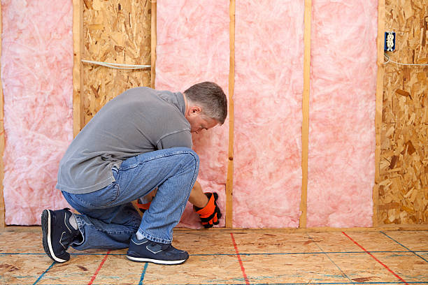 Insulation Contractors for Homes in Satsuma, AL